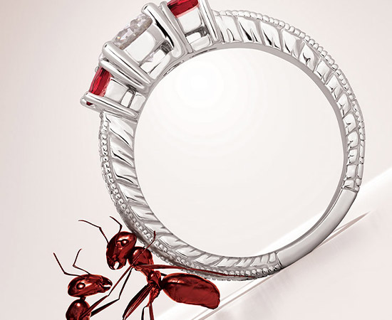 Jewelry Photography
