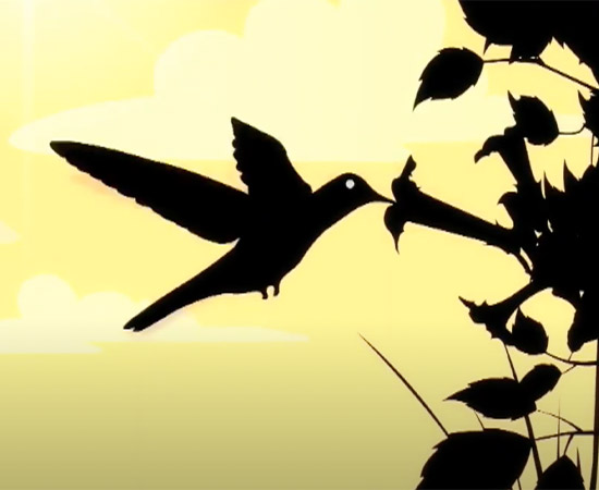Video - 2D Animation Spot