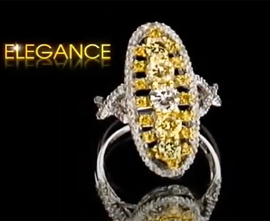 Video - Yigal Arieh Spring Collection
